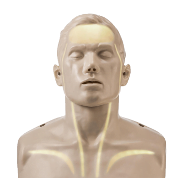 Brayden Manikin